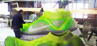 Nike Flying Shoe